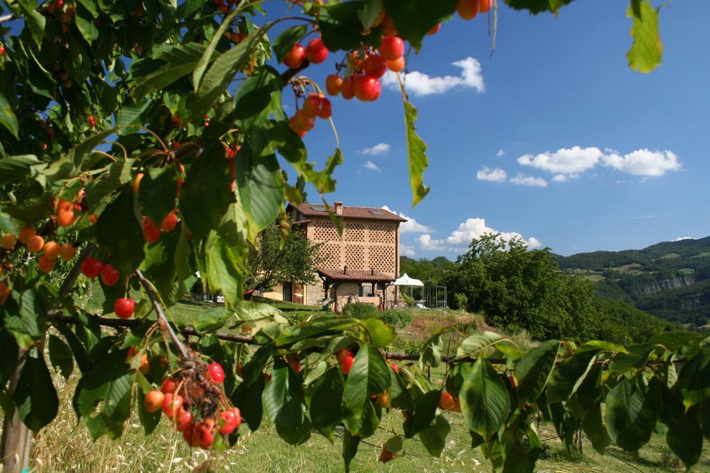 B&B Al Merlo Angelico Pellegrino Parmense Экстерьер фото